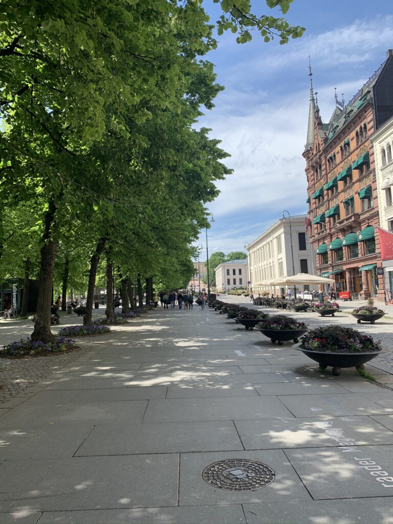 Karl Johan main street in Oslo on a bright sunny summer day with big green trees, classic buildings along the wide avenue under the blue skies