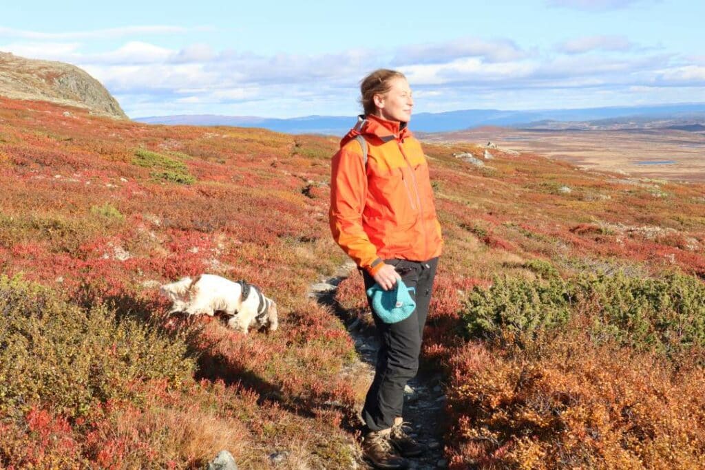 Me wearing an orange jacket in the extremely colorful mountains of Norway in the fall, where everything is in shades of orange and green against a pale blue sky on a sunny day. My friend's little dog is also running around in the background exploring. 