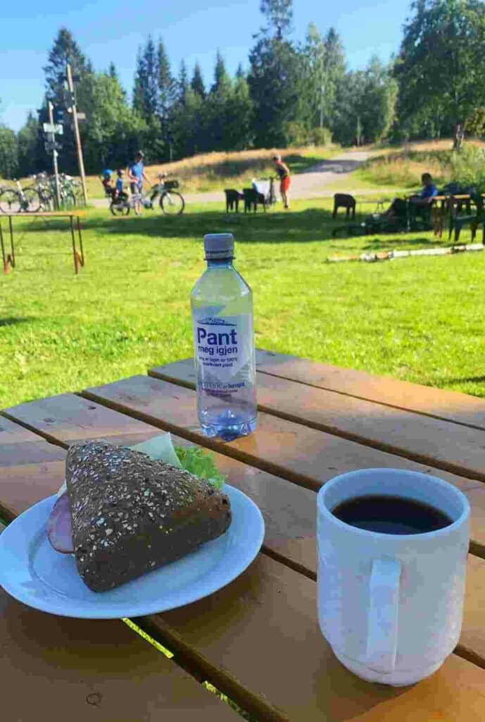 Lunch at a cottage in the Nordmarka forest outside Oslo with green grass and forest, people with dogs and on bikes, on a sunny summer day