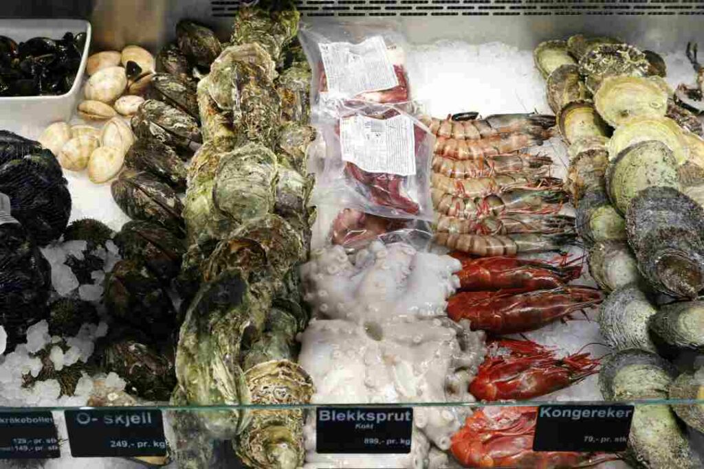 A variety of Fresh seafood on ice at the Bergen Fish Market