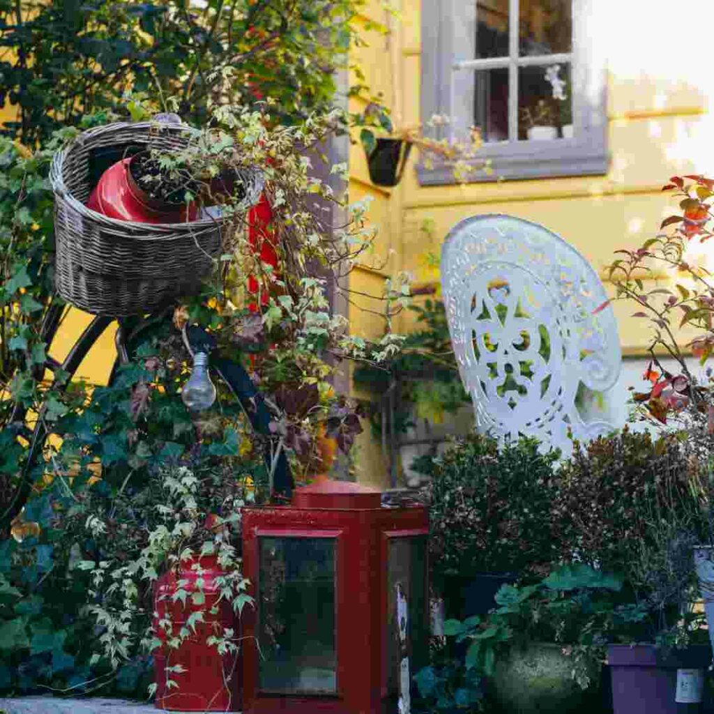 details from the city of Bergen in summer, a cozy corner with a white ornate decorative chair, greenery and colorful flowers, and a bike with a basket in front of a yellow house