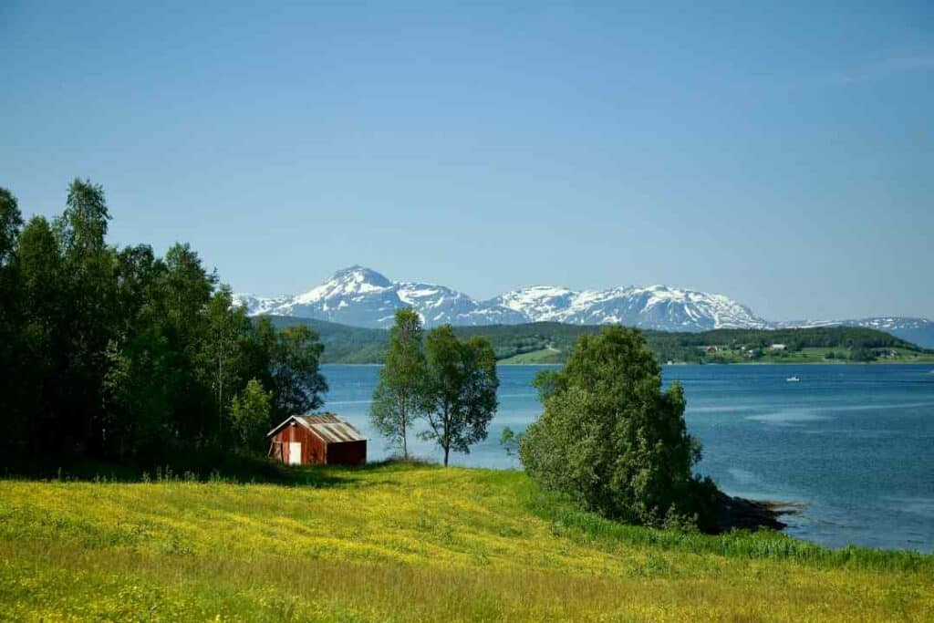 summer in Lofoten, a field of green grass in sunshine, a red cottage, the deep blue sea outside, and snow capped mountains in the background under a pale blue sky