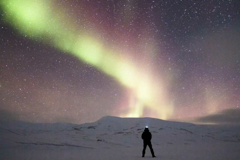 The light green, yellowish aurora borealis in Svalbard with the starry sky behind it, and a person standing on the snowy plains admiring the light dance in the sky