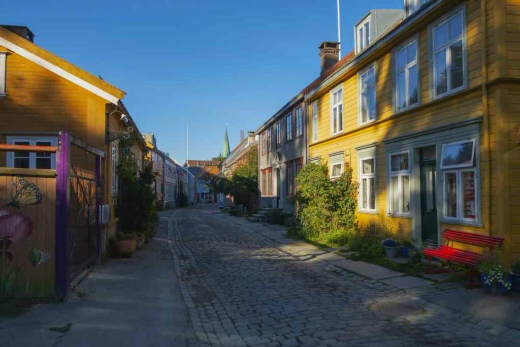 Old wooden houses in shades of yellow on a warm sunny summer day, with cobblestoned streets between them, and green bushes along the road. Things to do in Trondheim. 