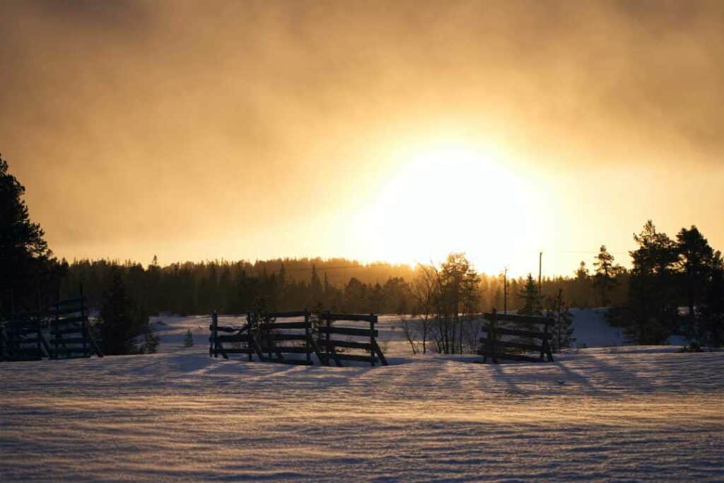 Stunning cold winter fields covered with snow, a wooden old fence in front of a dark forest, with a glowing sunset in the background