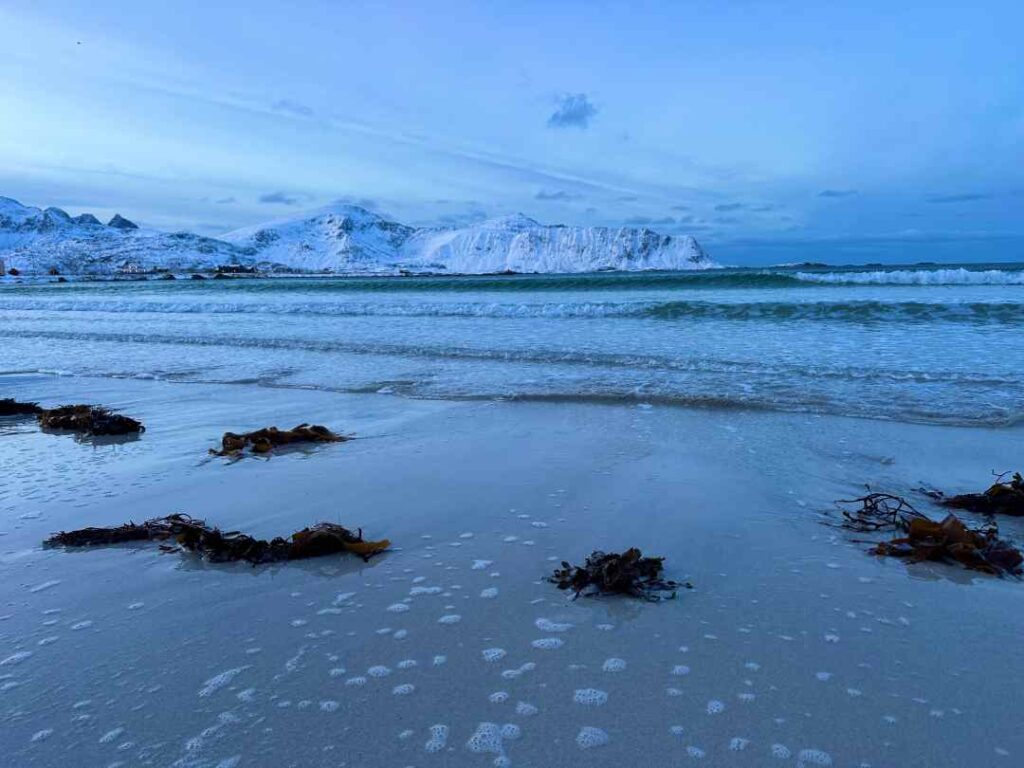 One of the white sandy beaches in Lofoten during winter, whth icy cold waves hitting the shore, and snow covered mountains along the shoreline during the blue light hour in the Arctic north. 