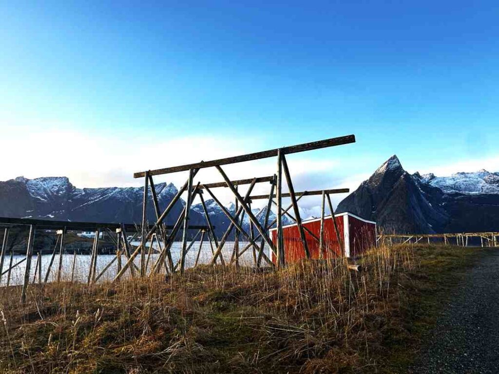 Wooden structures created to dry cod and make codfish in northern Norway, with the majestic rugged mountain peaks in the background. 