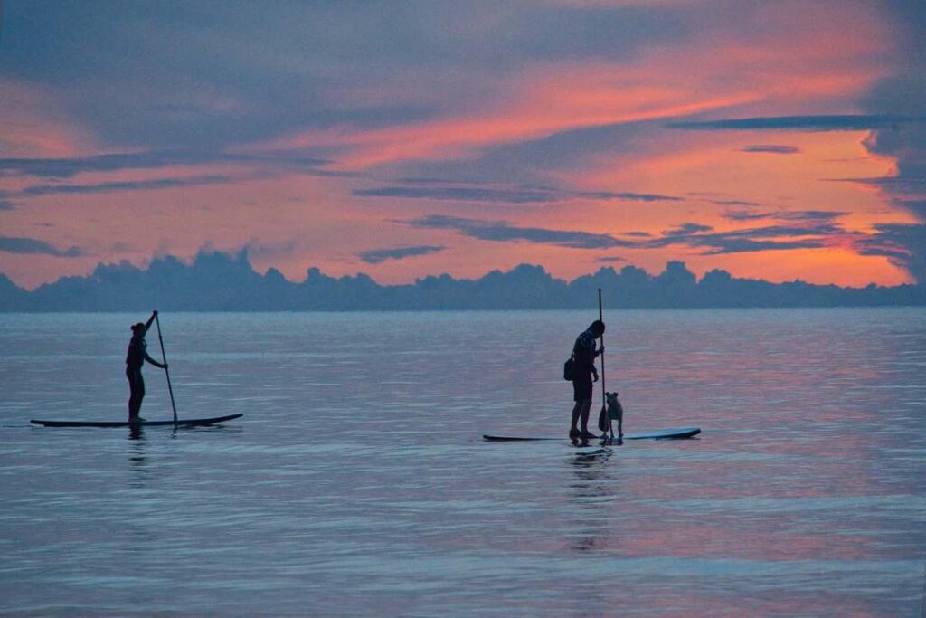 Two stand up paddlers on a blue blank sea at sunset with orange glowing sky in the distance