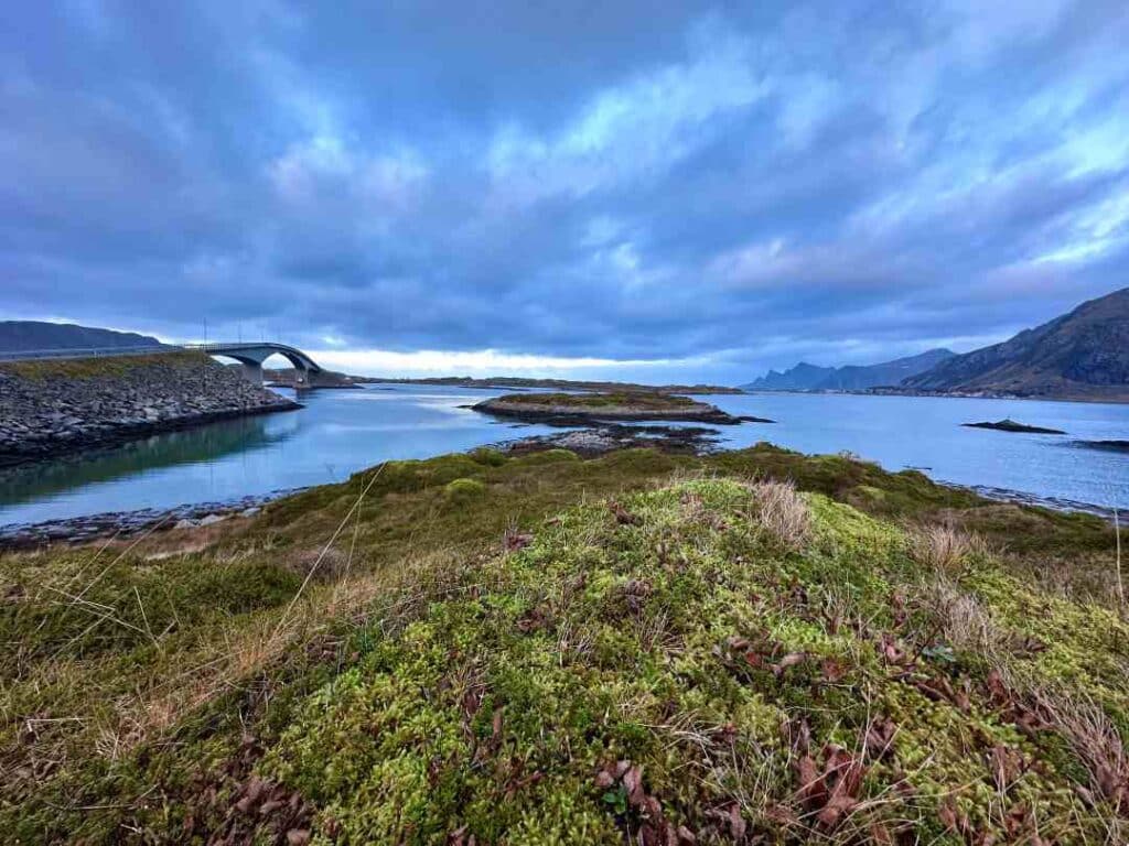 Autumn in Lofoten, brown and yellow grass and bushes by the fjord under a heavy sky with dramatic clouds, surrounded by the wild Lofoten mountains