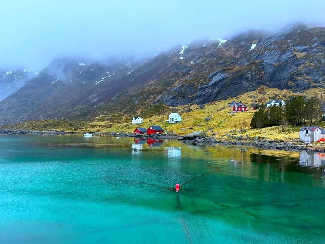 Green fjord waters by the shore with red wooden houses under majestic mountains in Lofoten in spring Norway