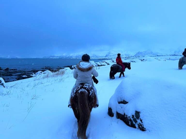 Horseback Riding In Lofoten: Welcome To Hov Gård On Gimsøya