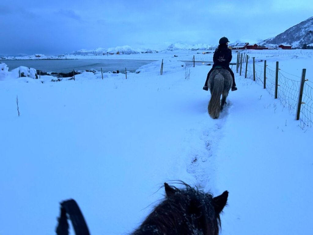 Riders on horseback riding slowly along the white snowy shores of the North Sea in the Lofoten Islands, with snow covered mountains in a distance, behind the long snow covered beaches of Lofoten in Norway