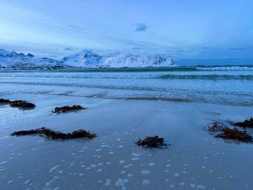 A sandy beach with waves retracting into the ocean, with snow cupped mountain peaks across the fjord bathed in the blue light of the Arctic Lofoten Islands during winter