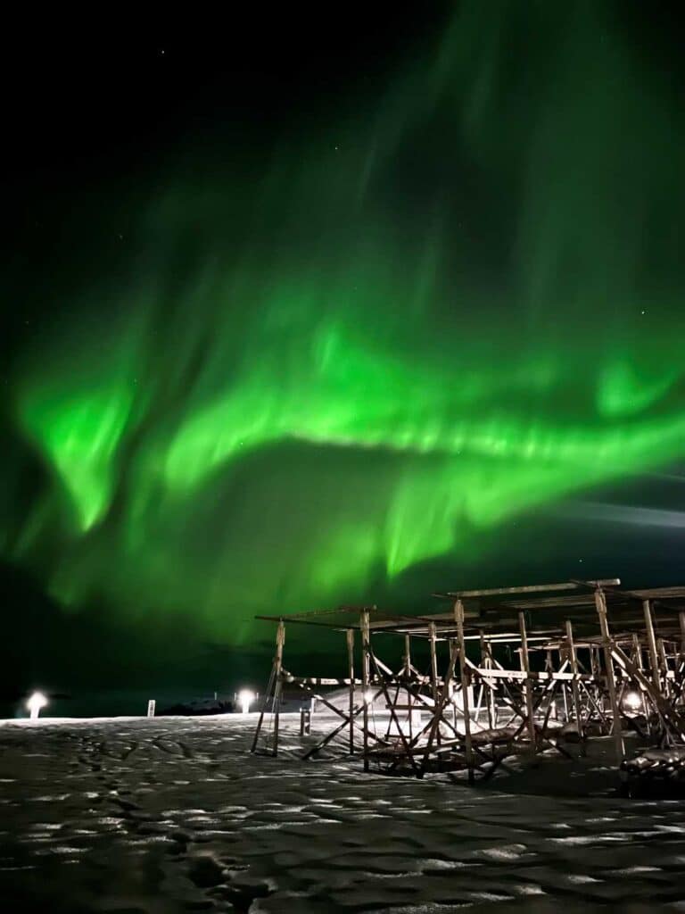 Bright green aurora borealis dancing across a dark night sky over snow covered codfish drying racks on a snowy ground.