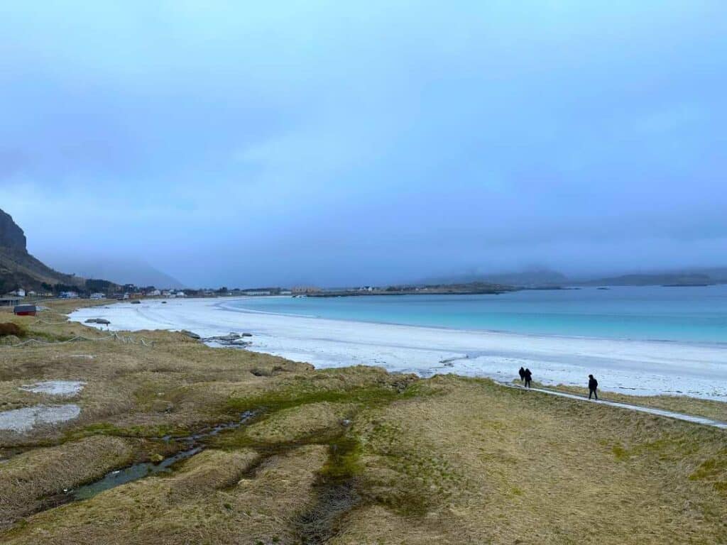 A white sandy beach by emerald green fjord water in Lofoten Norway. Yellow fields in the forefront, and in the distance majestic mountains partly hidden by low clouds creating a dramatic backdrop. 